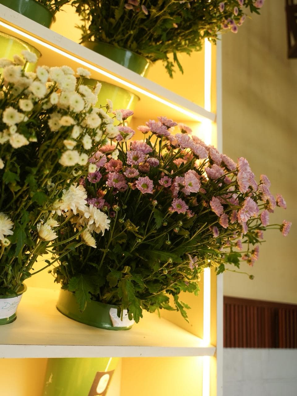 About Book My Flowers gallery image 1